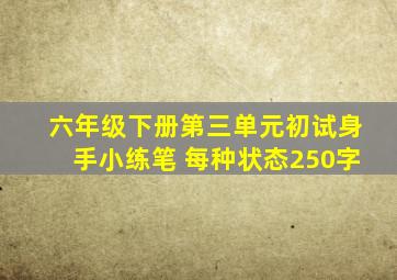 六年级下册第三单元初试身手小练笔 每种状态250字